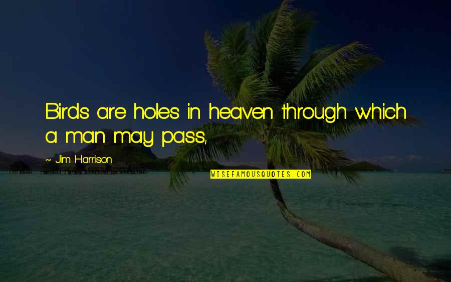 Fandry Movie Quotes By Jim Harrison: Birds are holes in heaven through which a