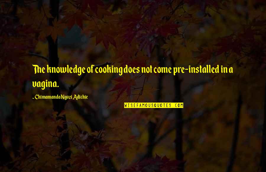 Fanfares Boots Quotes By Chimamanda Ngozi Adichie: The knowledge of cooking does not come pre-installed