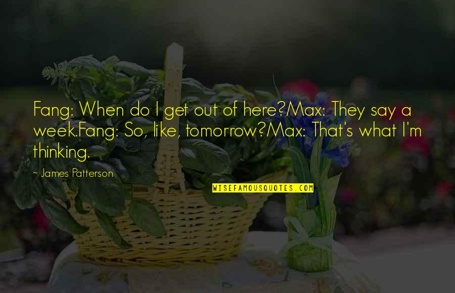 Fang Quotes By James Patterson: Fang: When do I get out of here?Max: