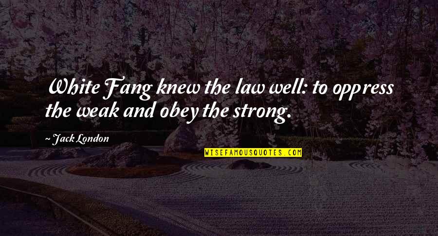 Fang'd Quotes By Jack London: White Fang knew the law well: to oppress