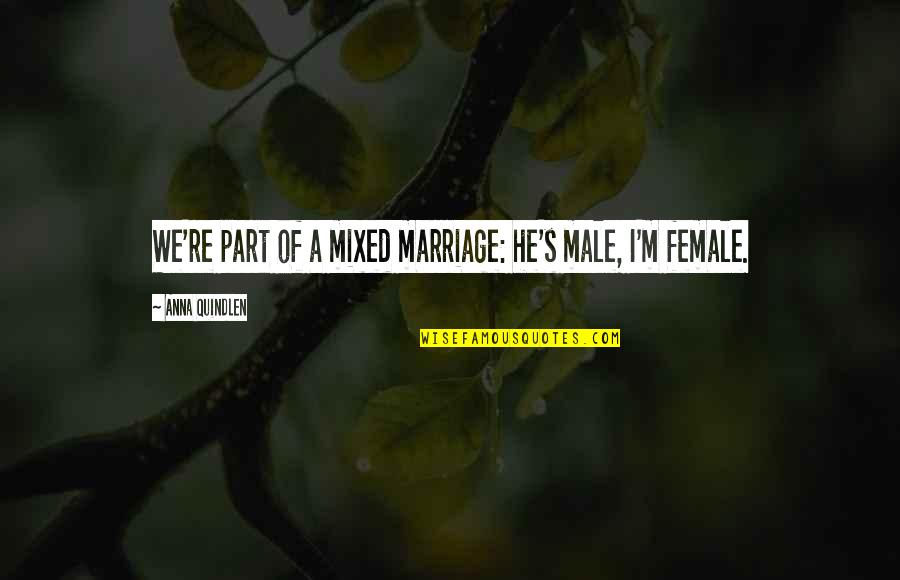 Fangello Quotes By Anna Quindlen: We're part of a mixed marriage: he's male,