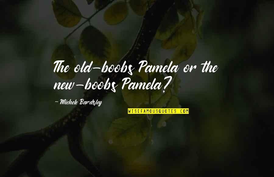 Fangirl Rainbow Rowell Best Quotes By Michele Bardsley: The old-boobs Pamela or the new-boobs Pamela? Fangirl Rainbow Rowell Best Quotes By Michele Bardsley: The old-boobs Pamela or the new-boobs Pamela?