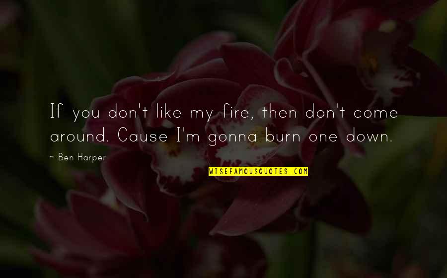 Fanlike Quotes By Ben Harper: If you don't like my fire, then don't