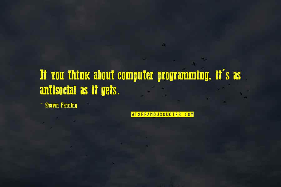 Fanning's Quotes By Shawn Fanning: If you think about computer programming, it's as