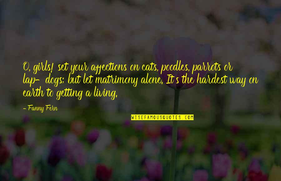 Fanny's Quotes By Fanny Fern: O, girls! set your affections on cats, poodles,