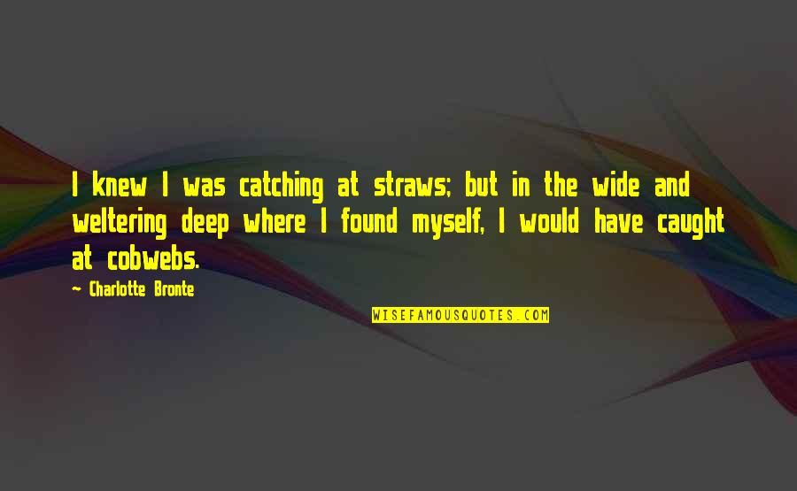 Fantails Quotes By Charlotte Bronte: I knew I was catching at straws; but