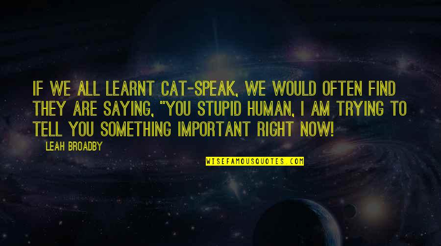 Fantasy Books Quotes By Leah Broadby: If we all learnt cat-speak, we would often