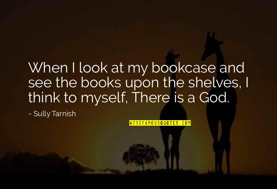 Fantasy Books Quotes By Sully Tarnish: When I look at my bookcase and see