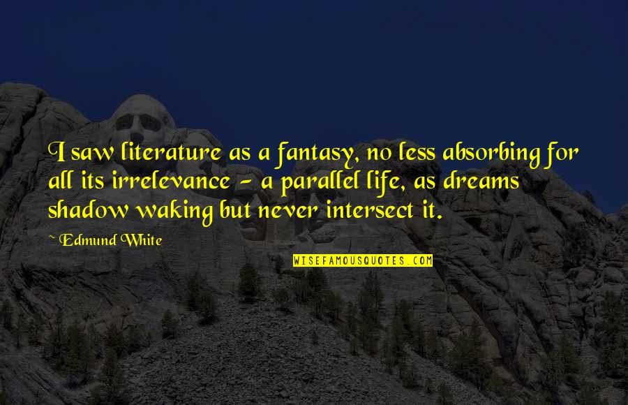 Fantasy Literature Quotes By Edmund White: I saw literature as a fantasy, no less