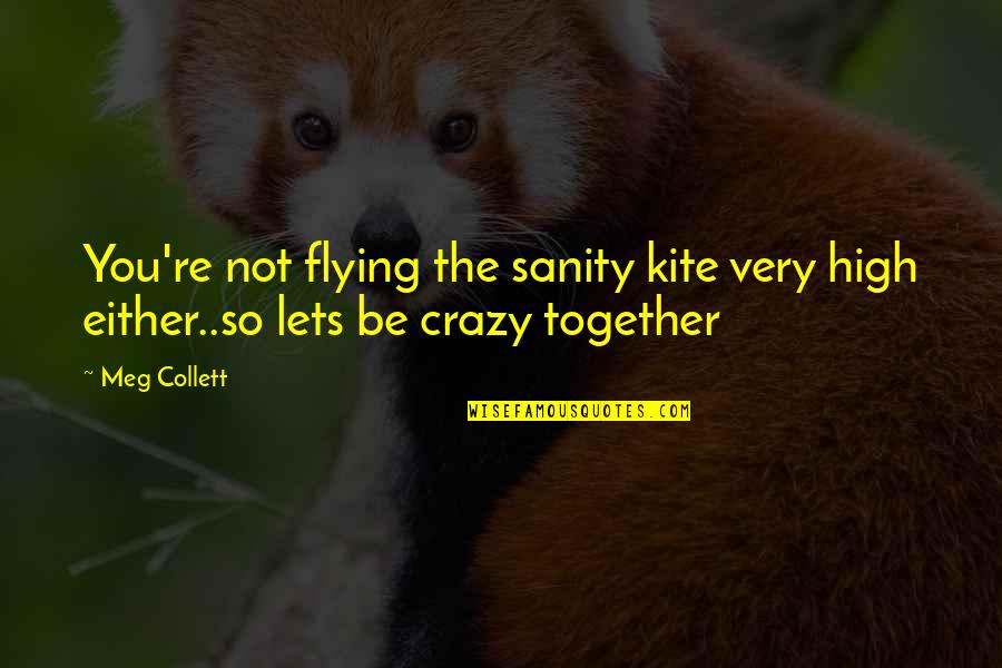 Fantasy Relationship Quotes By Meg Collett: You're not flying the sanity kite very high
