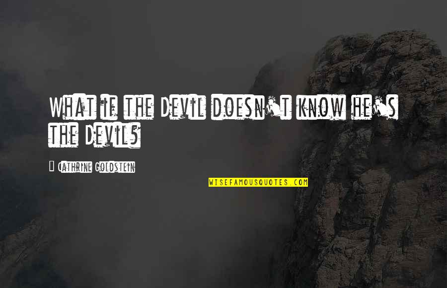 Fantasy Series Quotes By Cathrine Goldstein: What if the Devil doesn't know he's the
