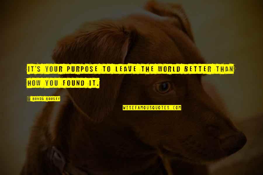 Fanuc Quotes By Ronda Rousey: It's your purpose to leave the world better