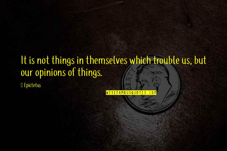 Faquinha Quotes By Epictetus: It is not things in themselves which trouble