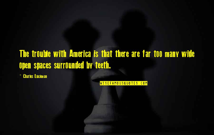 Far And Wide Quotes By Charles Luckman: The trouble with America is that there are