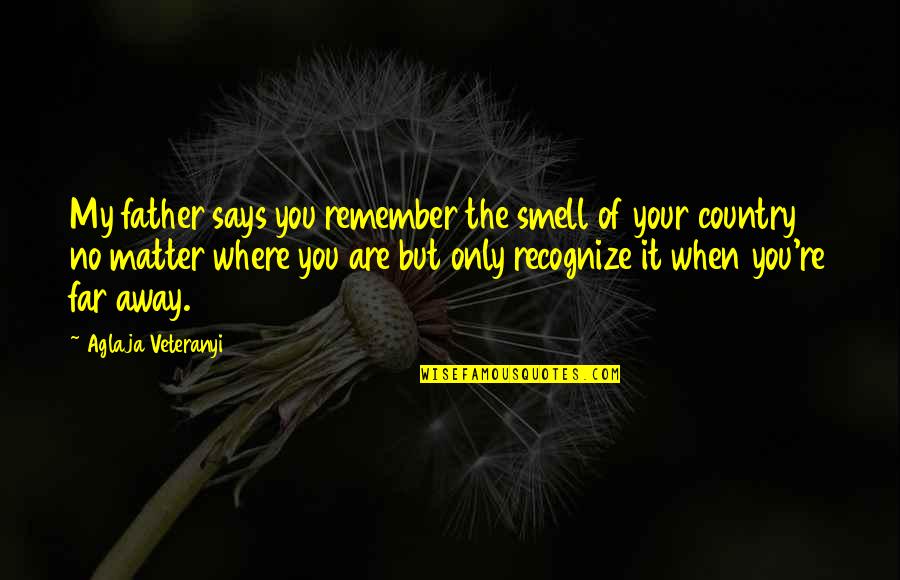 Far Away From Home Quotes By Aglaja Veteranyi: My father says you remember the smell of