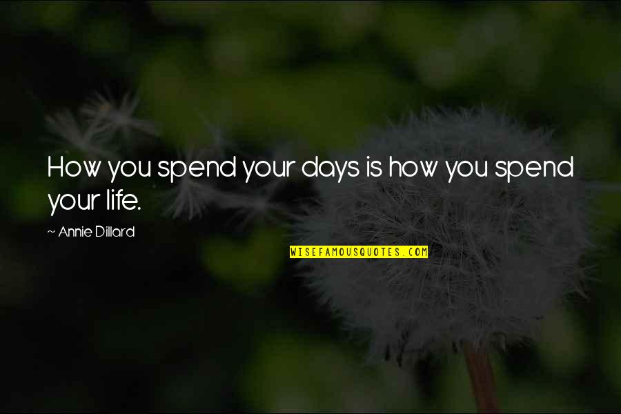 Far From You Lisa Schroeder Quotes By Annie Dillard: How you spend your days is how you