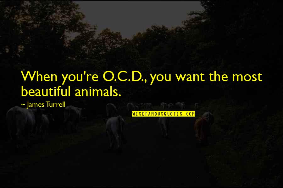 Farafina Fitness Quotes By James Turrell: When you're O.C.D., you want the most beautiful