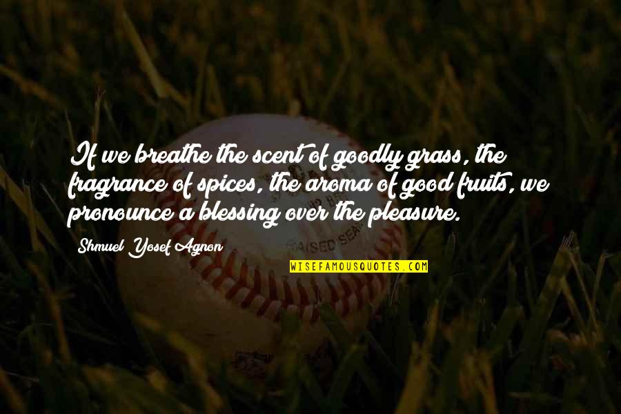 Farafina Fitness Quotes By Shmuel Yosef Agnon: If we breathe the scent of goodly grass,