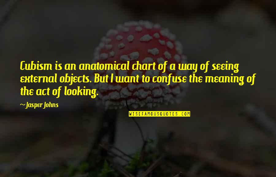Farahat Nasr Quotes By Jasper Johns: Cubism is an anatomical chart of a way Farahat Nasr Quotes By Jasper Johns: Cubism is an anatomical chart of a way