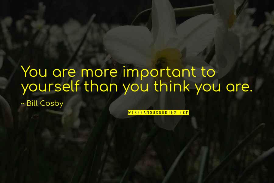 Faramir And Eowyn Quotes By Bill Cosby: You are more important to yourself than you