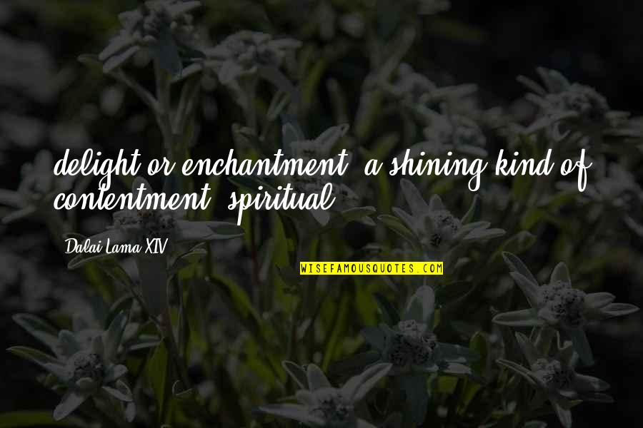 Farazmand Fau Quotes By Dalai Lama XIV: delight or enchantment (a shining kind of contentment)