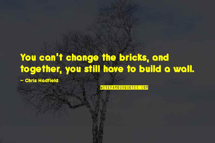Farcas Alexandru Quotes By Chris Hadfield: You can't change the bricks, and together, you