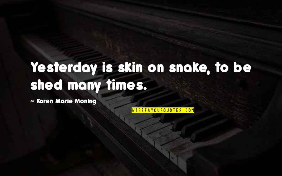 Farcical Antonym Quotes By Karen Marie Moning: Yesterday is skin on snake, to be shed Farcical Antonym Quotes By Karen Marie Moning: Yesterday is skin on snake, to be shed