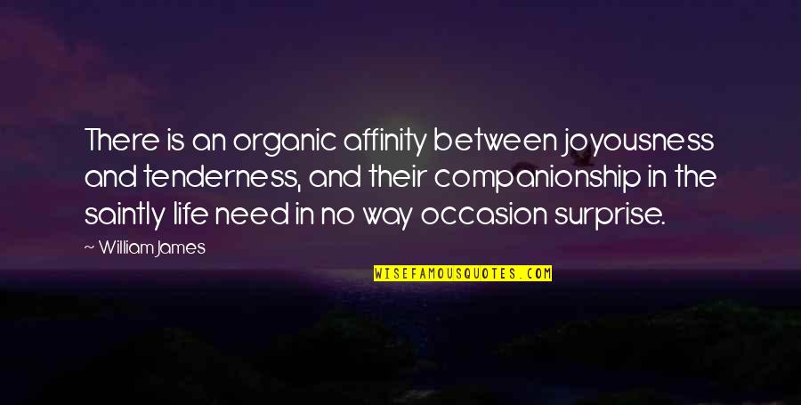 Farewell Mr Kringle Quotes By William James: There is an organic affinity between joyousness and
