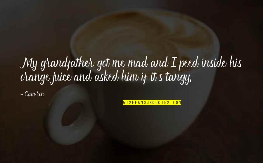 Farewell To Arms Rinaldi Quotes By Cam'ron: My grandfather got me mad and I peed