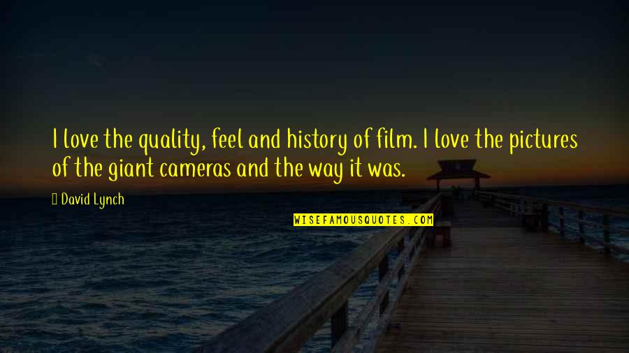 Farewell To The Boss Quotes By David Lynch: I love the quality, feel and history of Farewell To The Boss Quotes By David Lynch: I love the quality, feel and history of