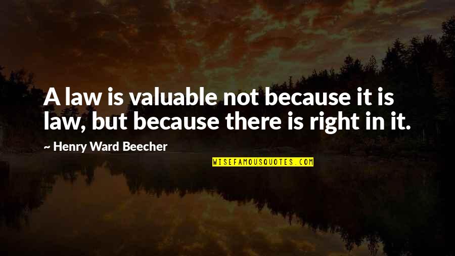 Farfouiller Quotes By Henry Ward Beecher: A law is valuable not because it is