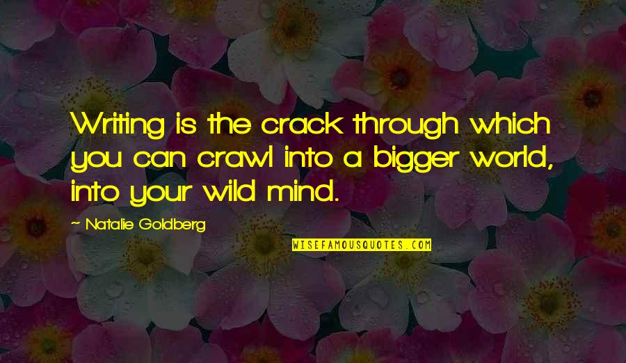 Farhina Quotes By Natalie Goldberg: Writing is the crack through which you can Farhina Quotes By Natalie Goldberg: Writing is the crack through which you can