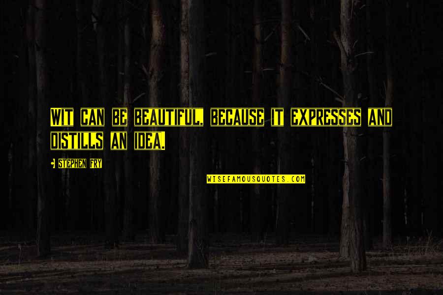 Farinha De Mandioca Quotes By Stephen Fry: Wit can be beautiful, because it expresses and