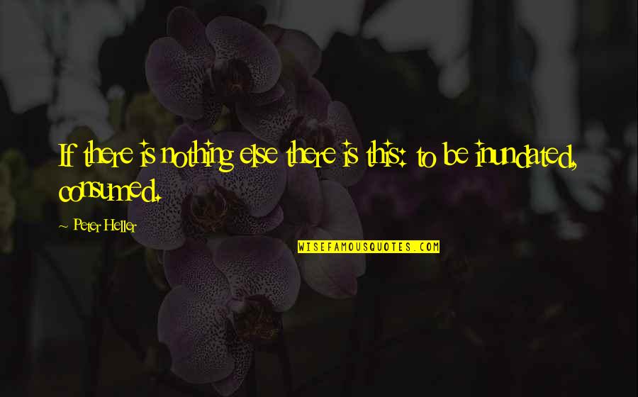 Farklari Quotes By Peter Heller: If there is nothing else there is this:
