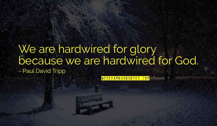 Farkle Quotes By Paul David Tripp: We are hardwired for glory because we are Farkle Quotes By Paul David Tripp: We are hardwired for glory because we are