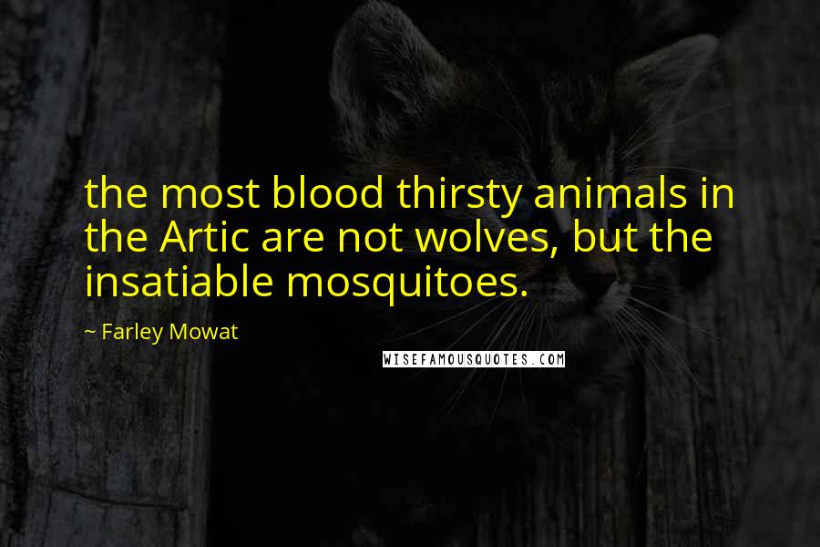 Farley Mowat quotes: the most blood thirsty animals in the Artic are not wolves, but the insatiable mosquitoes.