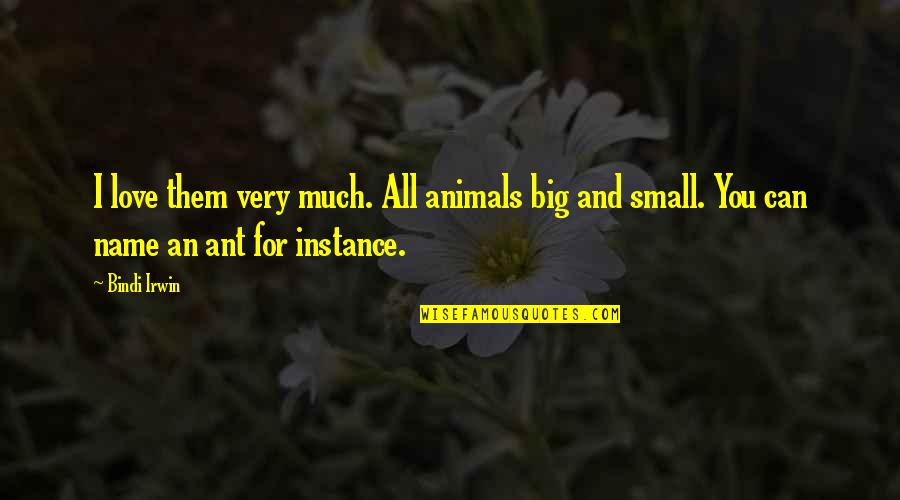Farmaceutica Remedia Quotes By Bindi Irwin: I love them very much. All animals big