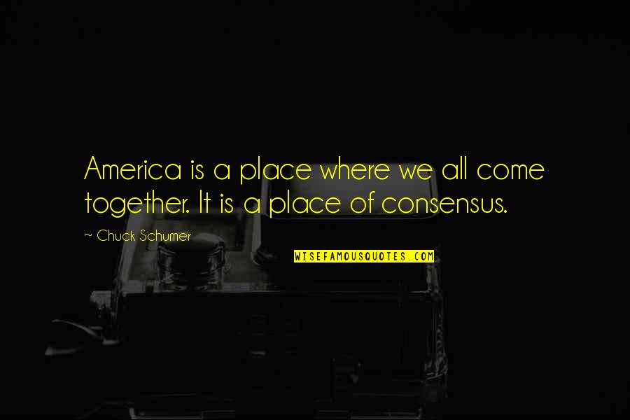 Farmanaturashop Quotes By Chuck Schumer: America is a place where we all come