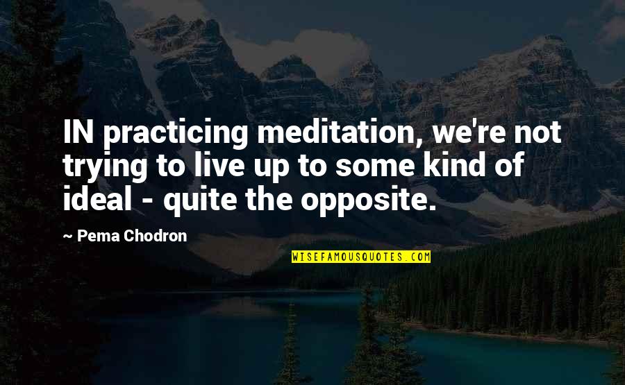 Farmer Tractor Quotes By Pema Chodron: IN practicing meditation, we're not trying to live