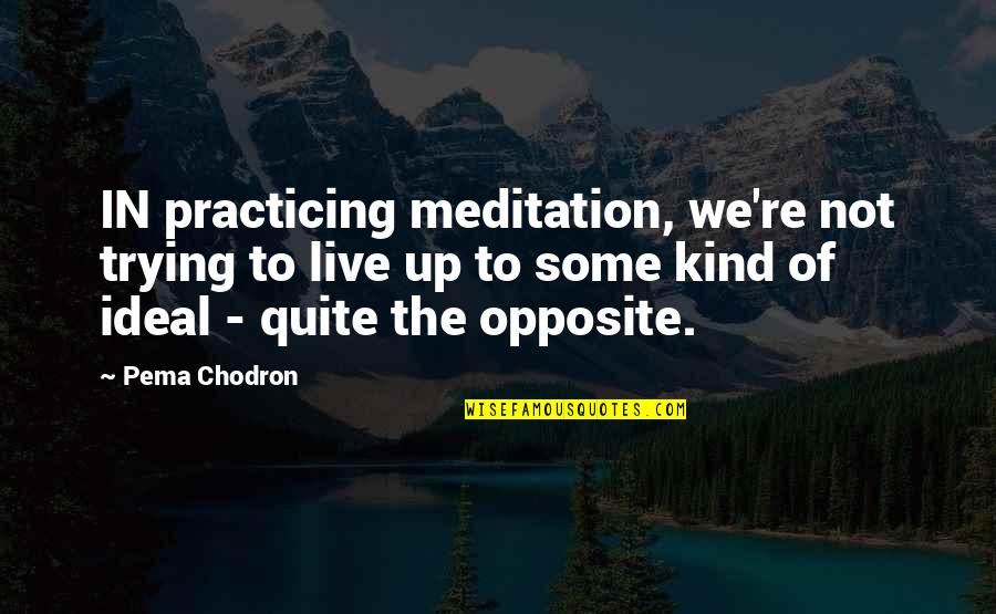 Farmer Tractor Quotes By Pema Chodron: IN practicing meditation, we're not trying to live Farmer Tractor Quotes By Pema Chodron: IN practicing meditation, we're not trying to live