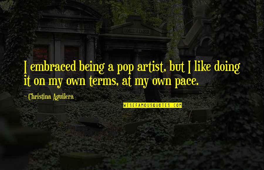 Farmland Quotes By Christina Aguilera: I embraced being a pop artist, but I