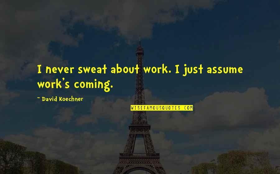 Farmshenanigans Quotes By David Koechner: I never sweat about work. I just assume