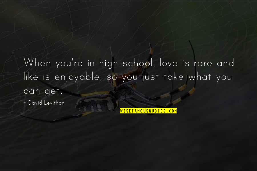Farnesi Madera Quotes By David Levithan: When you're in high school, love is rare