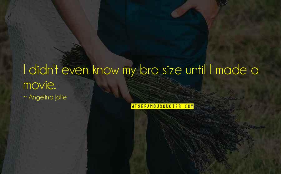 Farnesio Quotes By Angelina Jolie: I didn't even know my bra size until Farnesio Quotes By Angelina Jolie: I didn't even know my bra size until