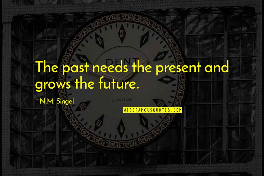 Farnesio Quotes By N.M. Singel: The past needs the present and grows the Farnesio Quotes By N.M. Singel: The past needs the present and grows the