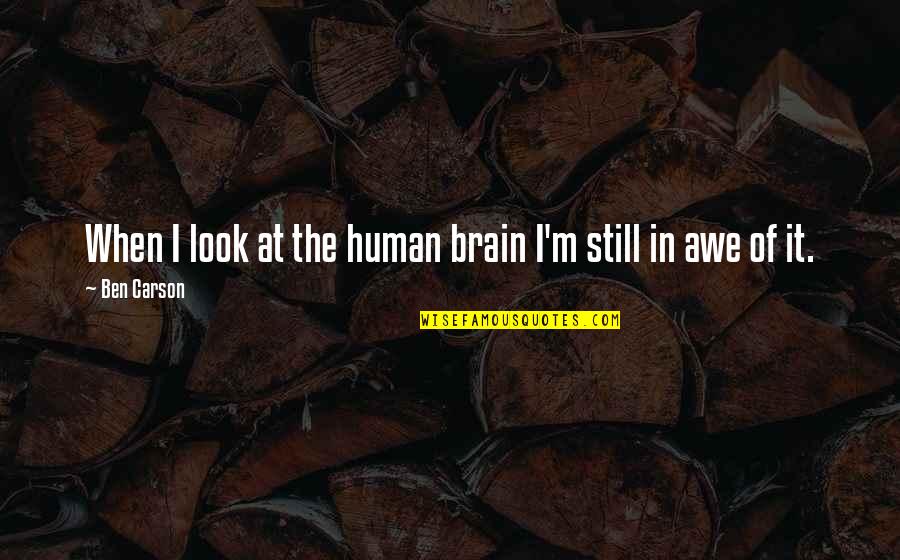 Farquhar Shrek Quotes By Ben Carson: When I look at the human brain I'm