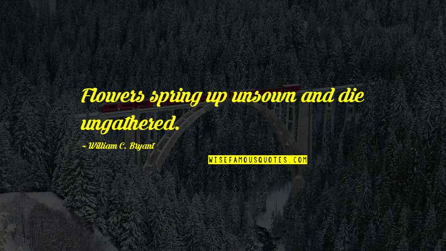 Farrakhan Speeches Quotes By William C. Bryant: Flowers spring up unsown and die ungathered. Farrakhan Speeches Quotes By William C. Bryant: Flowers spring up unsown and die ungathered.