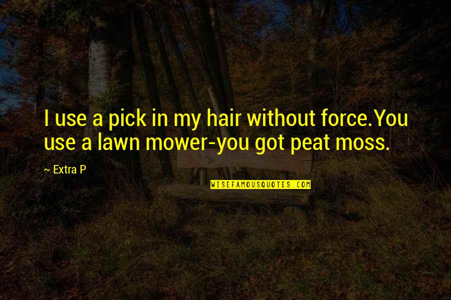 Farrapos Velhos Quotes By Extra P: I use a pick in my hair without