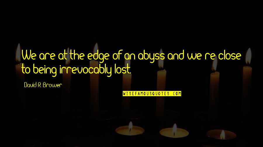 Farrellys Pizza Quotes By David R. Brower: We are at the edge of an abyss