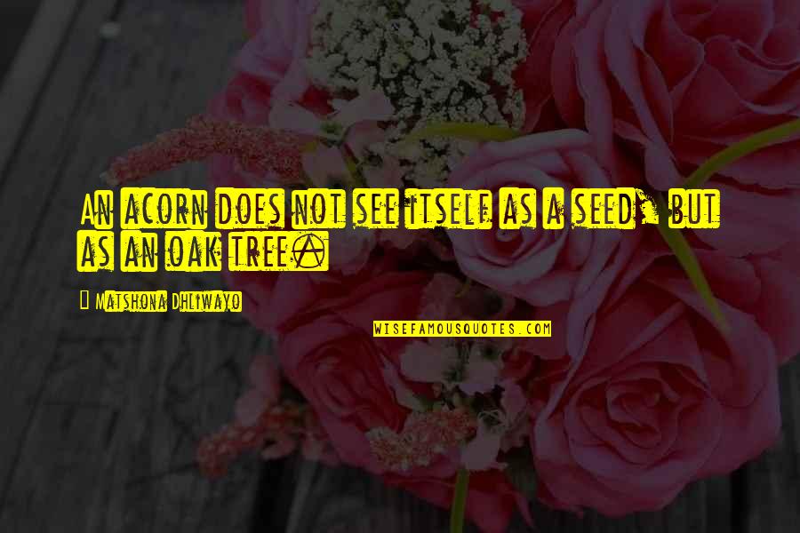 Farrer Brothers Quotes By Matshona Dhliwayo: An acorn does not see itself as a Farrer Brothers Quotes By Matshona Dhliwayo: An acorn does not see itself as a